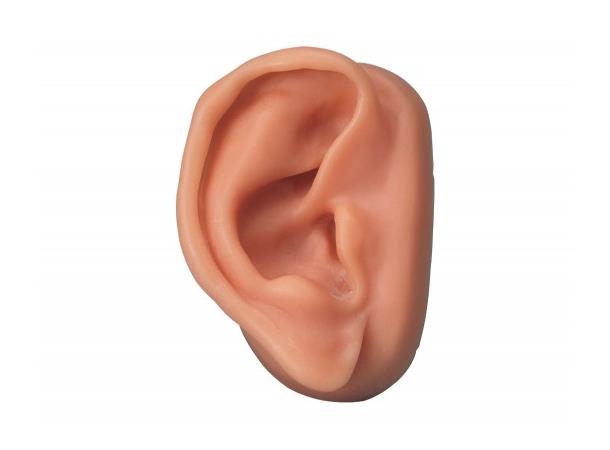 Akupunkturøre modell Høyre øre